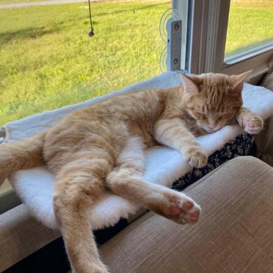 Veraine™ Fensterliege