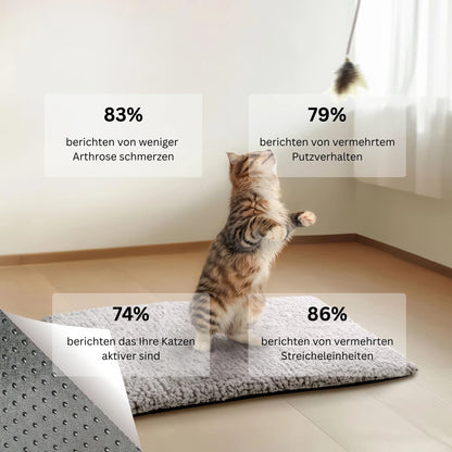 HeatPaws Therapeutisches Katzenbett
