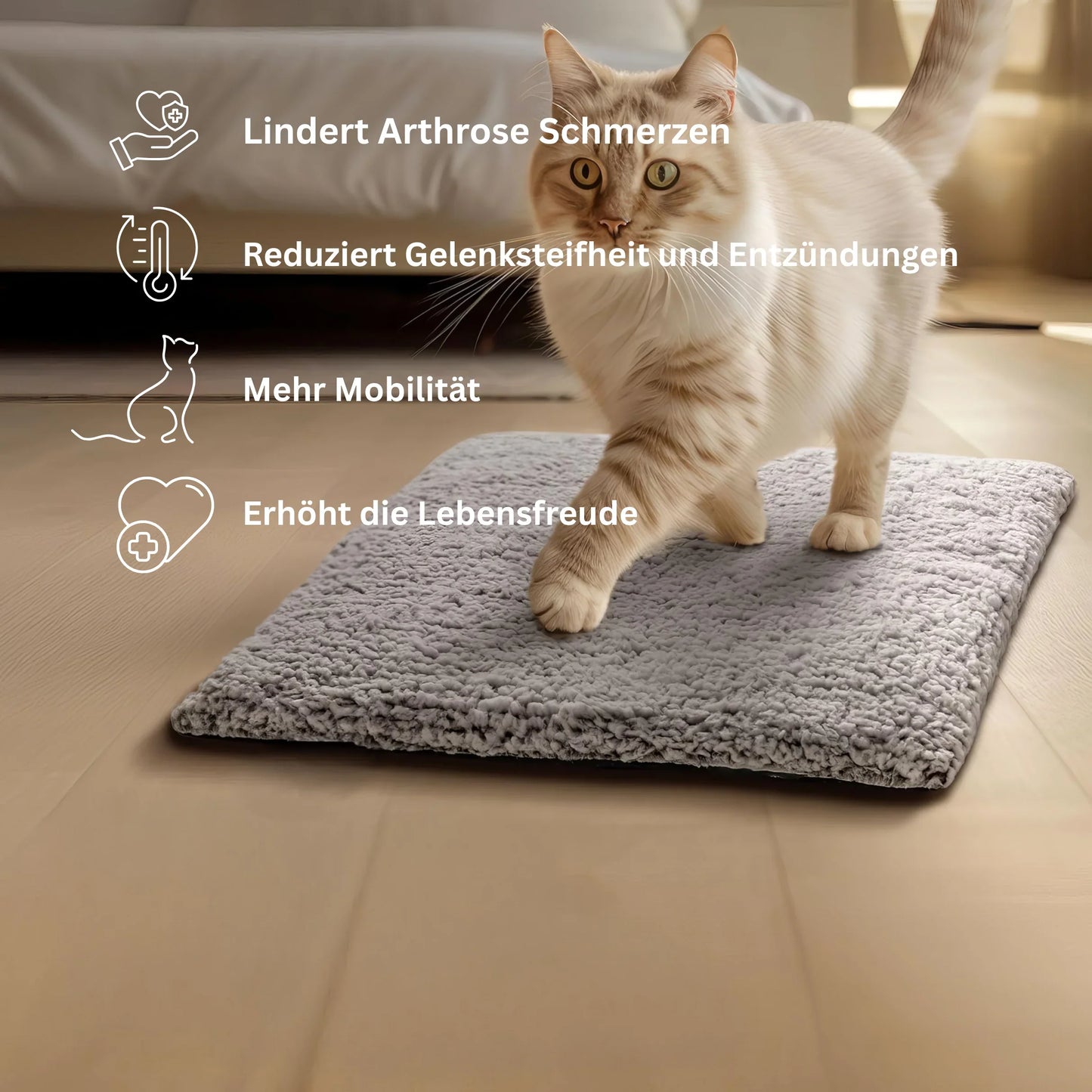 HeatPaws Therapeutisches Katzenbett