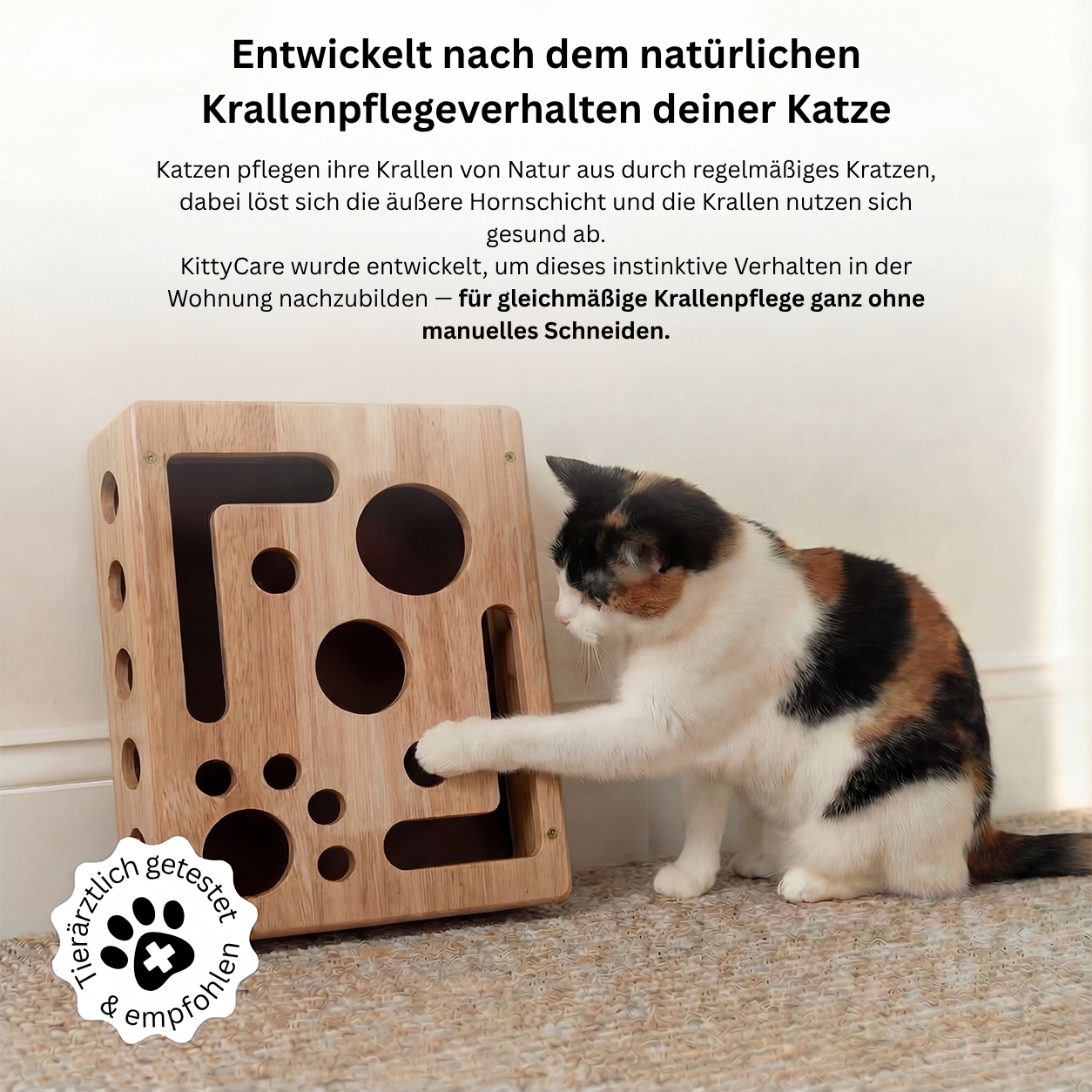 KittyCare