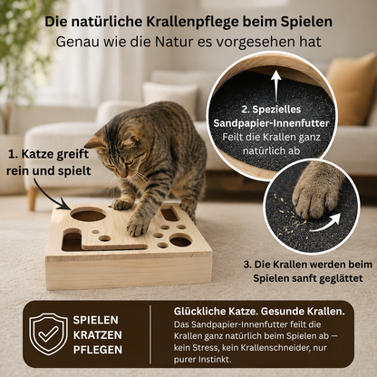 KittyCare